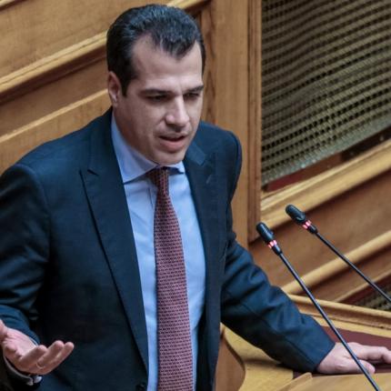 Θάνος Πλεύρης 