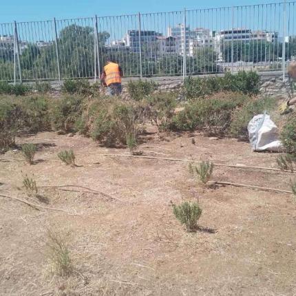 σχολεια καλλωπισμος