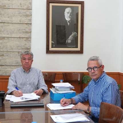 αρναουτακης - παπαβασιλειου