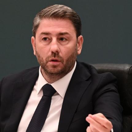 Νίκος Ανδρουλάκης 