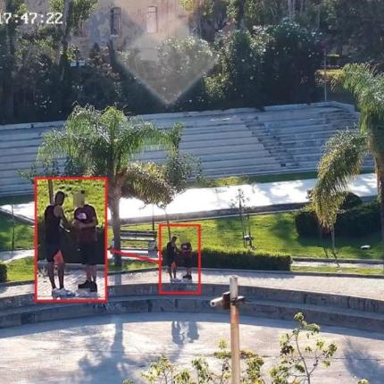 εγκληματική οργάνωση