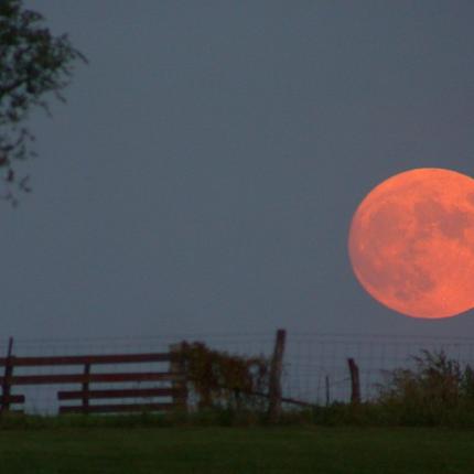 πανσεληνος
