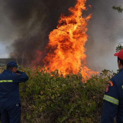 φωτιά Μαλάδες