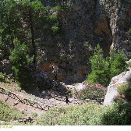 ΦΑΡΑΓΓΙ ΛΙΣΣΟΥ