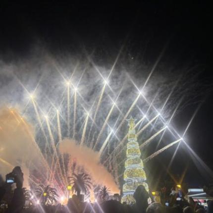 ΦΩΤΑΓΩΓΗΣΗ ΔΕΝΤΡΟΥ