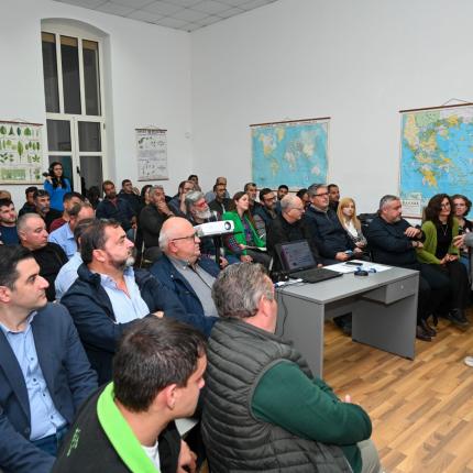ΕΚΔΗΛΩΣΗ ΜΕΣΣΑΡΑ