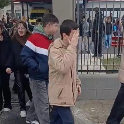 μαθητες αμυνταιο