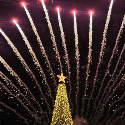 Χριστουγεννιάτικο δέντρο