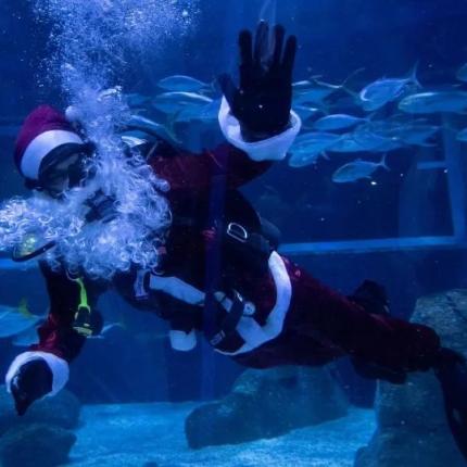 Άγιοι Βασίληδες