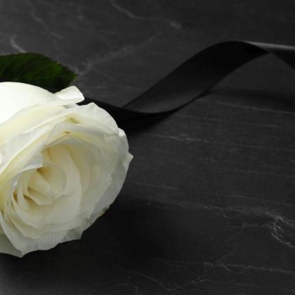 τριαντάφυλλο 