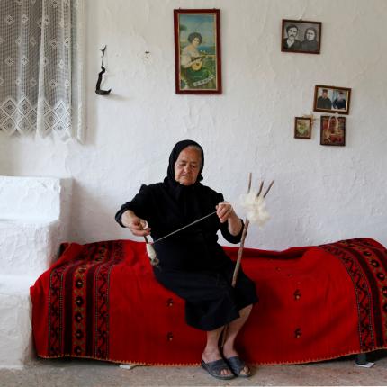 αεναες μορφες αστερουσιων - λευκωμα μετζακη