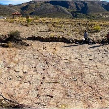 πατημασιές