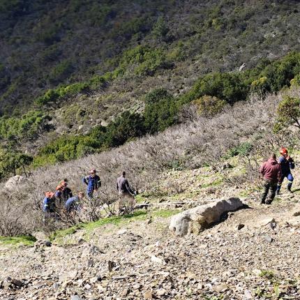 Σέμπρωνας τροχαίο