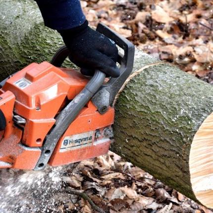 ξυλοκοπτικό