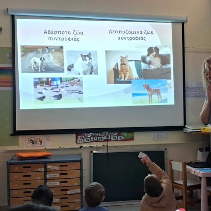 ΑΓΙΟΣ ΝΙΚΟΛΑΟΣ ΠΡΟΓΡΑΜΜΑ ΦΙΛΟΖΩΙΑΣ