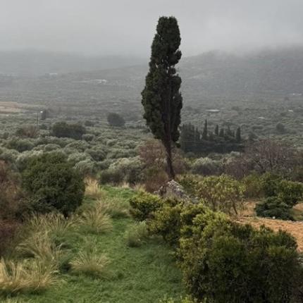 Βιάννος