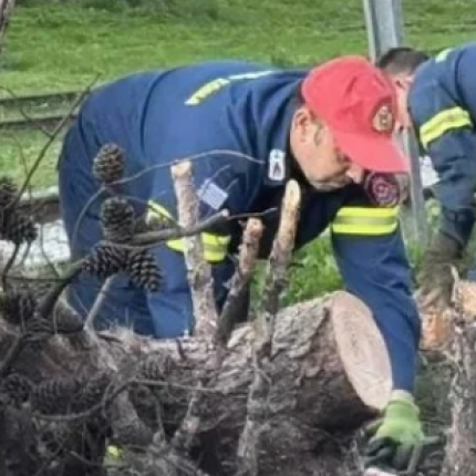 δέντρο Λαμία