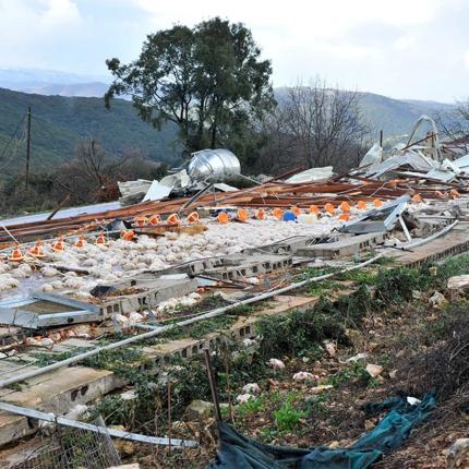 Πτηνοτροφείο