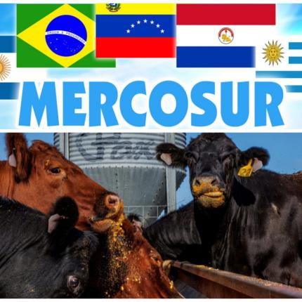 Mercosur