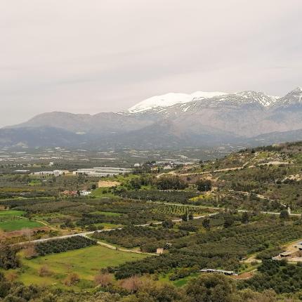 Μεσαρά