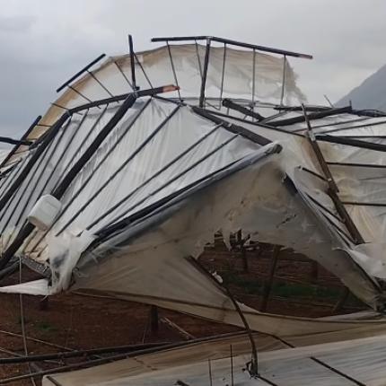 Θερμοκήπιο