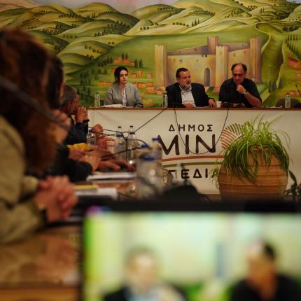 ΔΗΜΟΣ ΜΙΝΩΑ ΠΕΔΙΑΔΑΣ