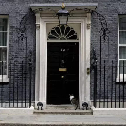 downingstreet