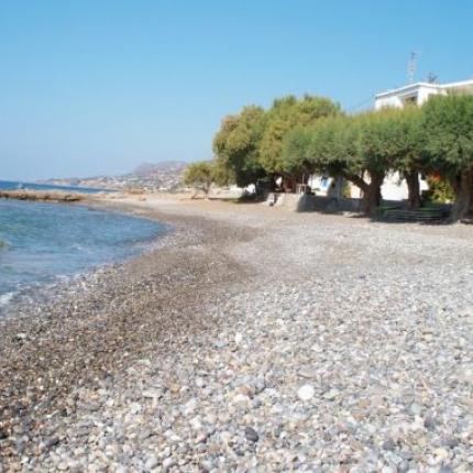 Κουτσουράς