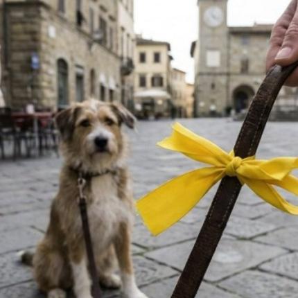 κίτρινη κορδέλα σκύλος