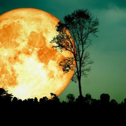 εαρινή ισημερία