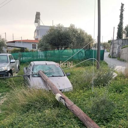 φοινικιά στύλος