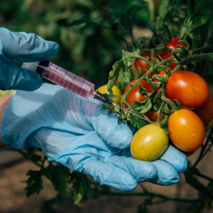 μεταλλαγμένα λαχανικά 