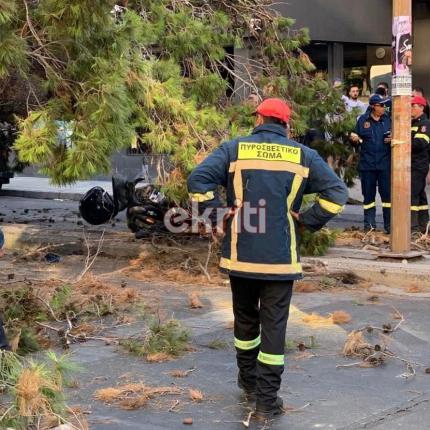 πευκο