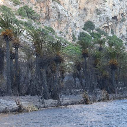 Πρέβελη