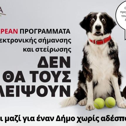 Αδέσποτα_ζώα 