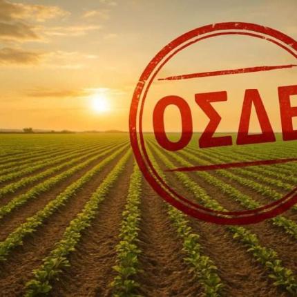 ΟΣΔΕ