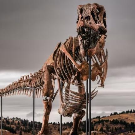 t-rex γκας