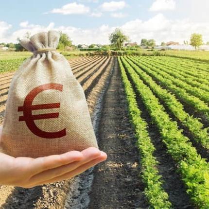Ταμείο Αγροτικής Επιχειρηματικότητας