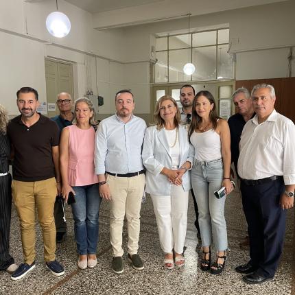 βατσινα παρασυρης
