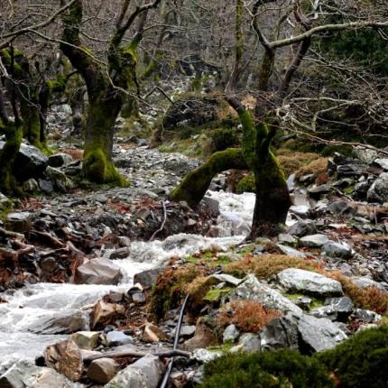 φαραγγι αγιας ειρηνης καντανος