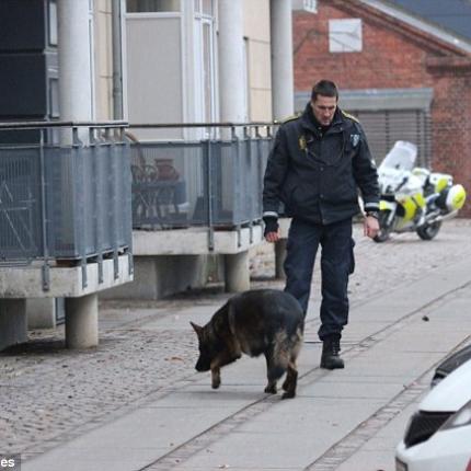 Ένας νεκρός στους πυροβολισμούς στην Κοπεγχάγη  (φωτογραφίες)