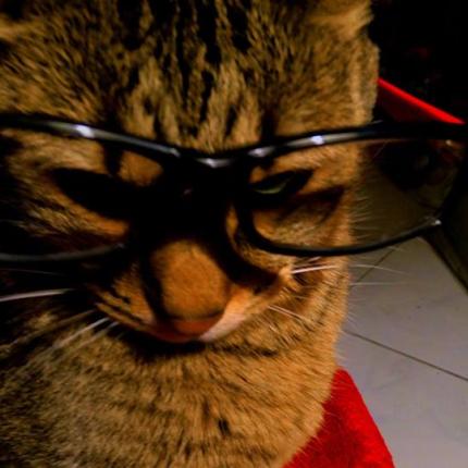 Ιβάν γατίδης