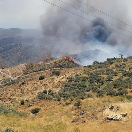 φωτιά μούστακο