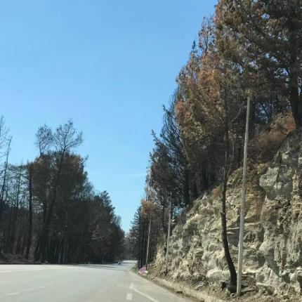 φωτια βρυσες καταστροφη.jpg