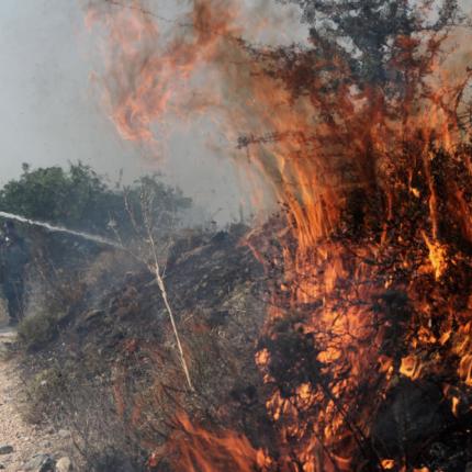 φωτιά μαλακάσα 1