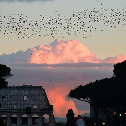 παπας φραγκίσκος