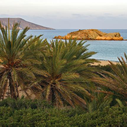 περιοχες natura 2000