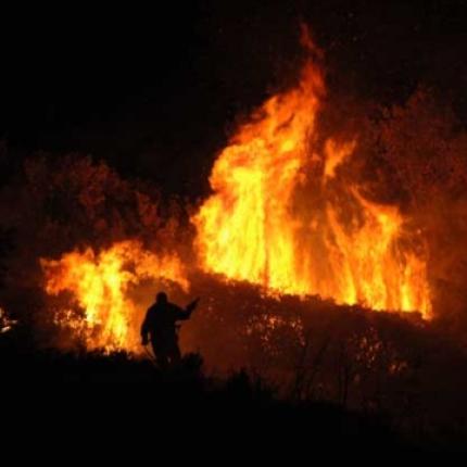 Πύρινο μέτωπο στις Πινές της Ελούντας