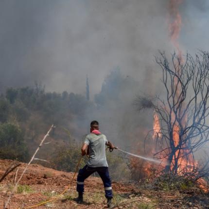 ηλεία φωτιά