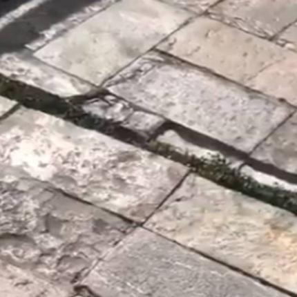 σεισμός Μεξικό